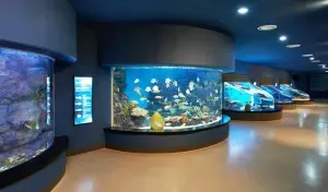Photo from Holicay - Discovering Jeju's Natural Beauty and Unique Attractions: A 3-Day Adventure